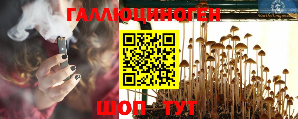 Псилоцибиновые грибы GOLDEN TEACHER  Вход с VPN  продажа наркотиков  Вязьма 